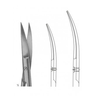 Surgical Scissors