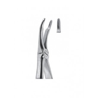 Extracting  Forceps - English Pattern