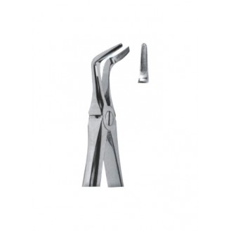 Extracting  Forceps - English Pattern