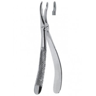 Extracting  Forceps - English Pattern