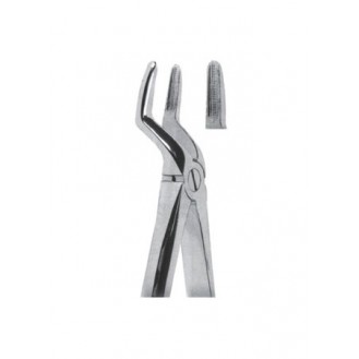 Extracting  Forceps - English Pattern