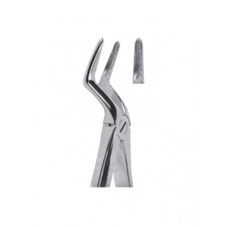 Extracting  Forceps - English Pattern