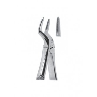 Extracting  Forceps - English Pattern