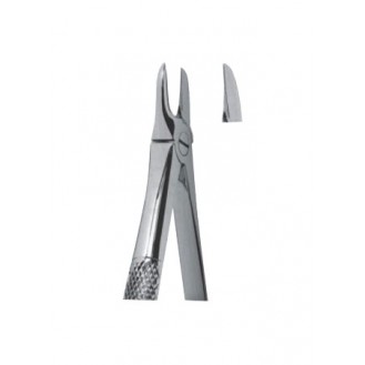 Extracting  Forceps - English Pattern