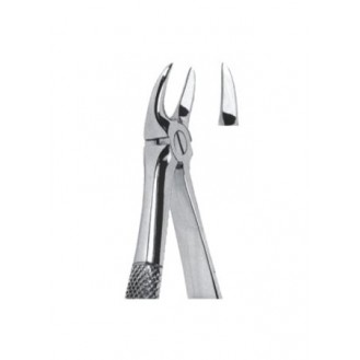 Extracting  Forceps - English Pattern