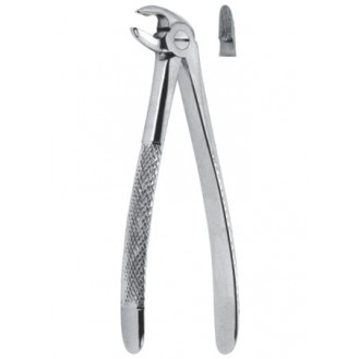 Extracting  Forceps - English Pattern