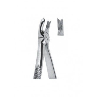 Extracting  Forceps - English Pattern