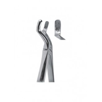 Extracting  Forceps - English Pattern