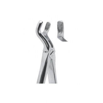 Extracting  Forceps - English Pattern