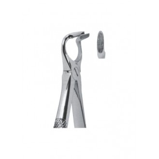 Extracting  Forceps - English Pattern