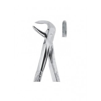 Extracting  Forceps - English Pattern