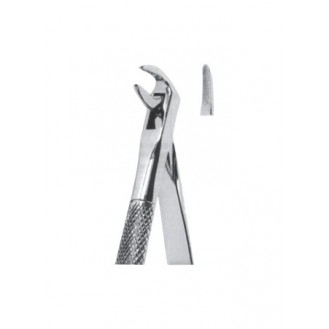 Extracting  Forceps - English Pattern