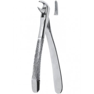 Extracting  Forceps - English Pattern