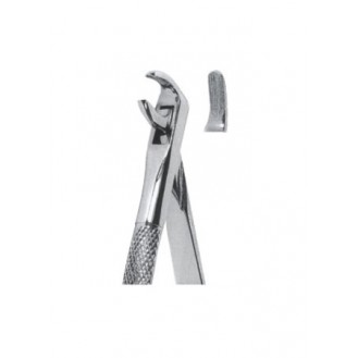 Extracting  Forceps - English Pattern