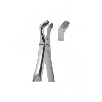 Extracting  Forceps - English Pattern