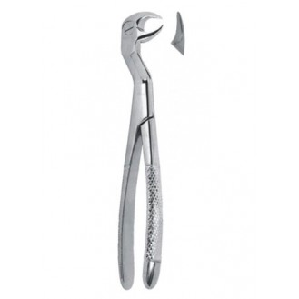 Extracting  Forceps - English Pattern