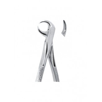 Extracting  Forceps - English Pattern