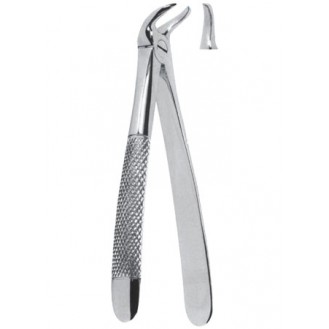 Extracting  Forceps - English Pattern