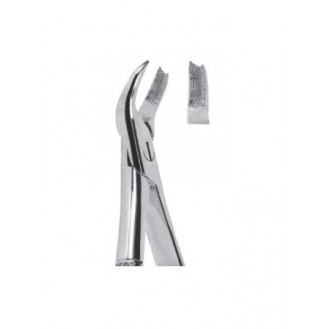 Extracting  Forceps - English Pattern