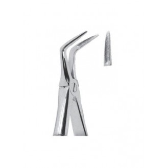 Extracting  Forceps - English Pattern