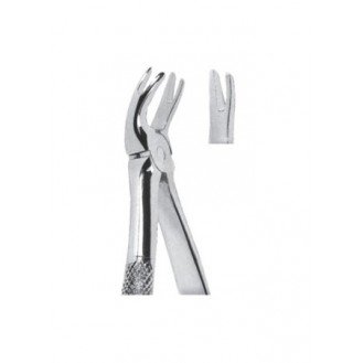 Extracting  Forceps - English Pattern