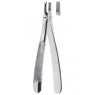 Extracting  Forceps - English Pattern