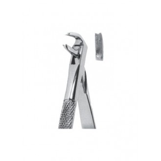 Extracting  Forceps - English Pattern