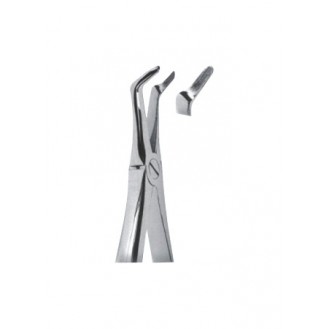 Extracting  Forceps - English Pattern