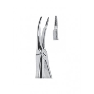 Extracting  Forceps - English Pattern