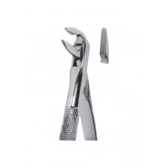 Extracting  Forceps - English Pattern