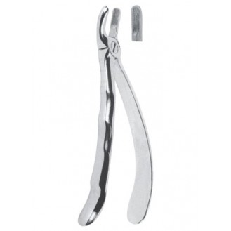 Extracting  Forceps With Anatomically Shapad Handl