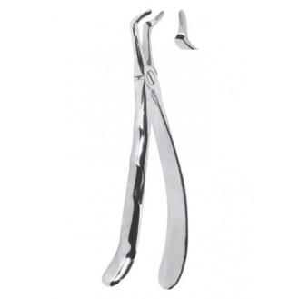 Extracting  Forceps With Anatomically Shapad Handl