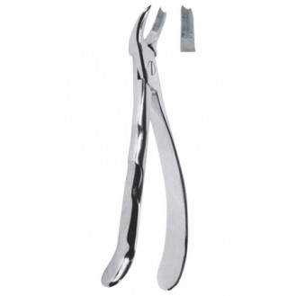 Extracting  Forceps With Anatomically Shapad Handl