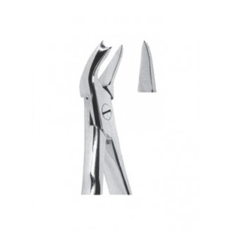 Extracting  Forceps With Anatomically Shapad Handl