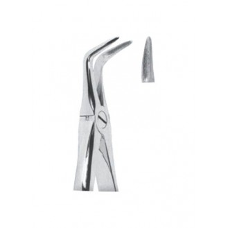 Extracting  Forceps With Anatomically Shapad Handl