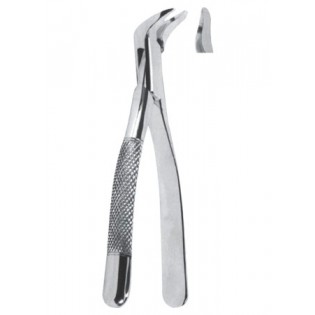 Extracting  Forceps - American Pattern