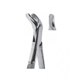 Extracting  Forceps - American Pattern