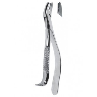 Extracting  Forceps - American Pattern