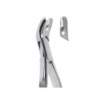 Extracting  Forceps - American Pattern