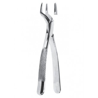 Extracting  Forceps - American Pattern