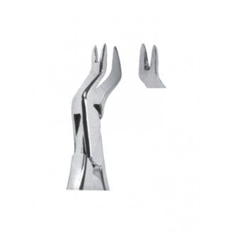 Extracting  Forceps - American Pattern