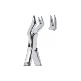 Extracting  Forceps - American Pattern