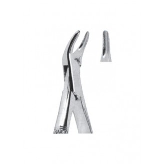 Extracting  Forceps - American Pattern