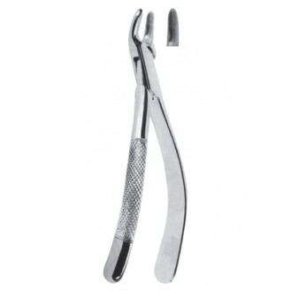 Extracting  Forceps - American Pattern