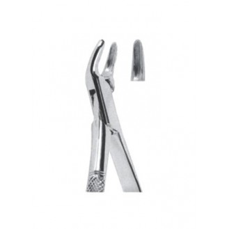 Extracting  Forceps - American Pattern