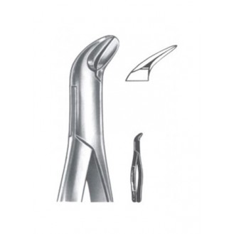 Extracting  Forceps - American Pattern