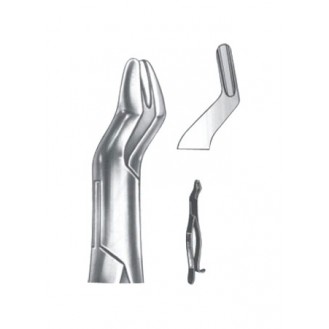 Extracting  Forceps - American Pattern