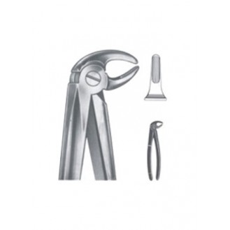 Extracting Forceps - English Pattern