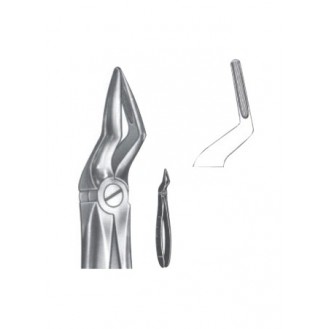 Extracting Forceps - English Pattern