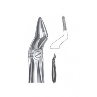 Extracting Forceps - English Pattern